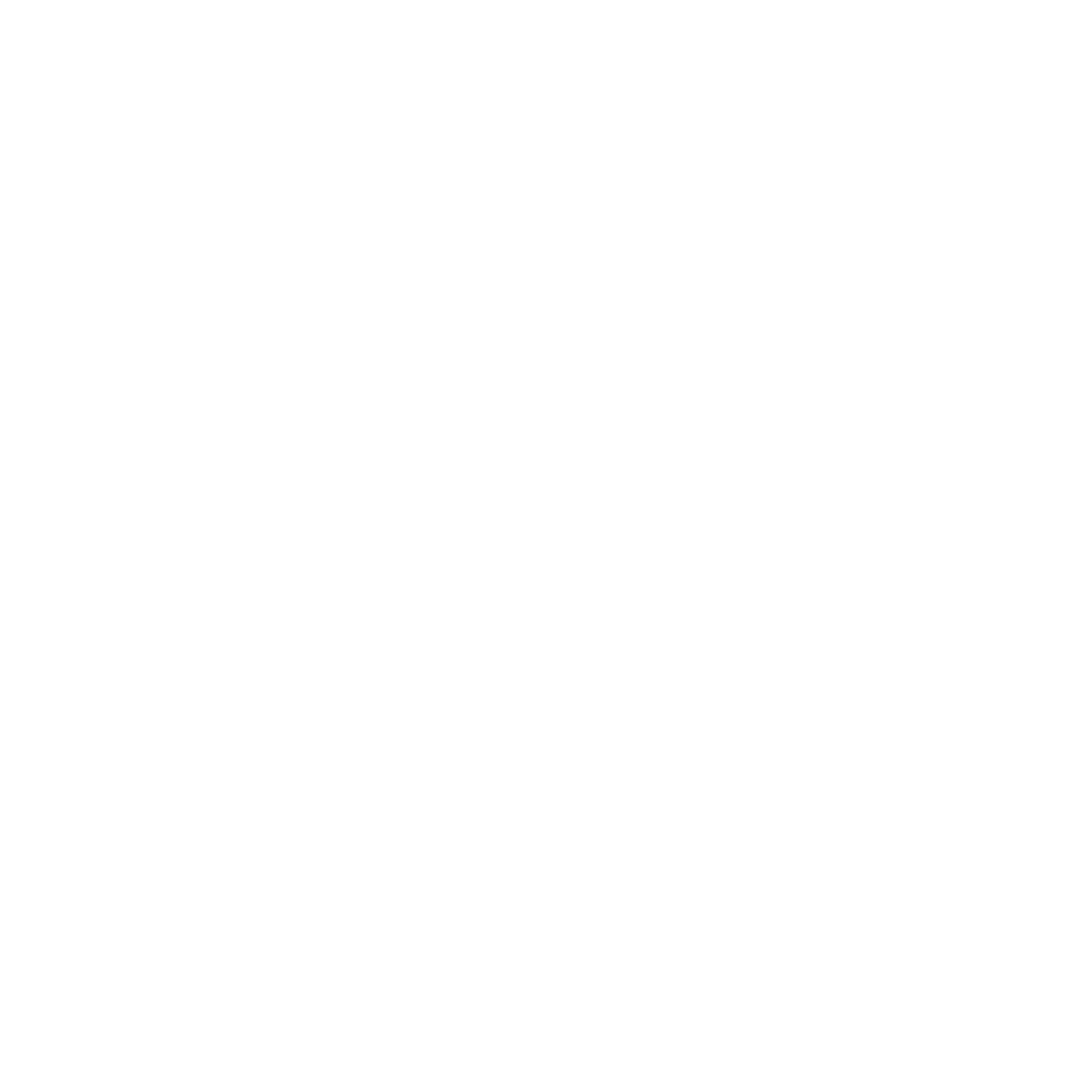 Car Crash Icon