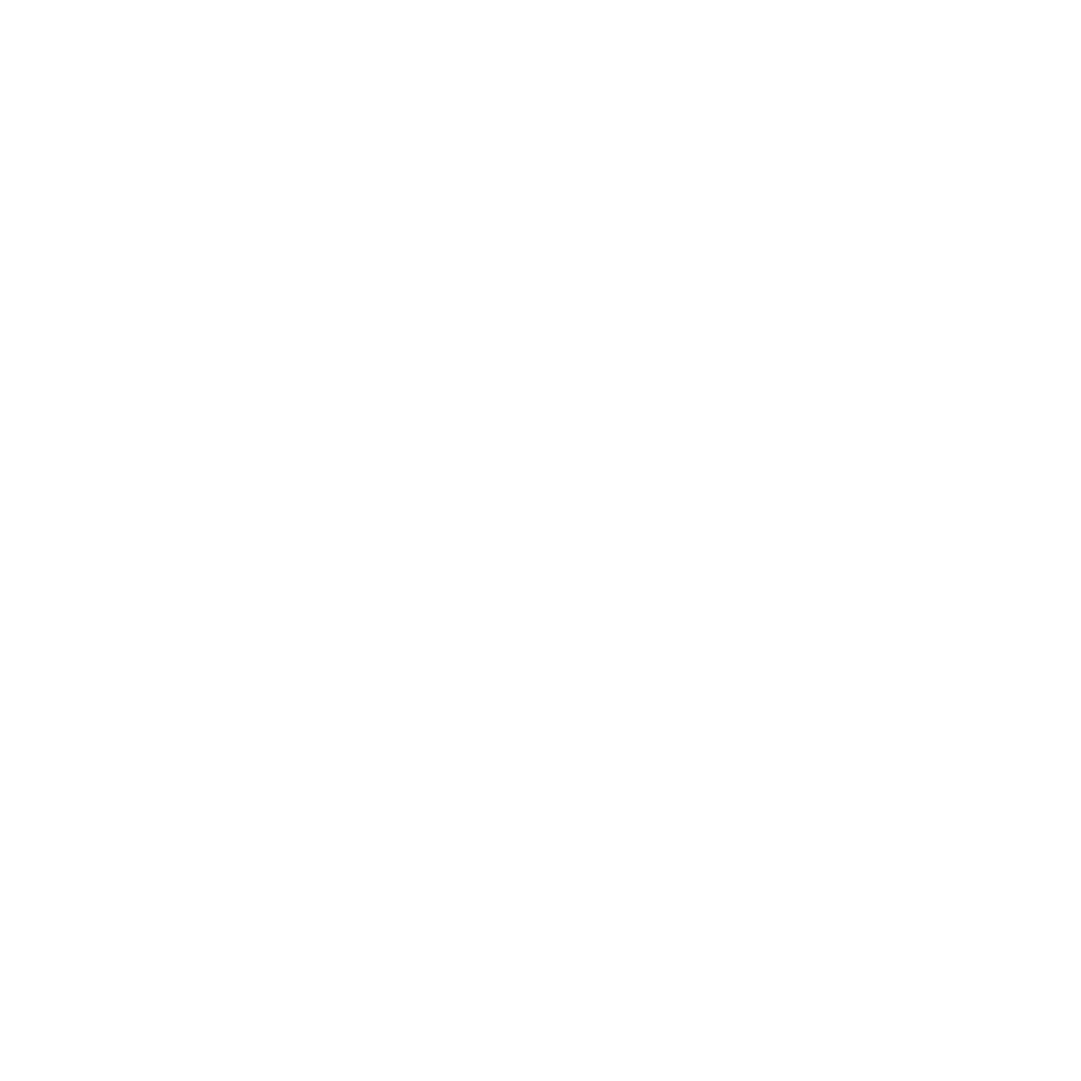 Shield Icon